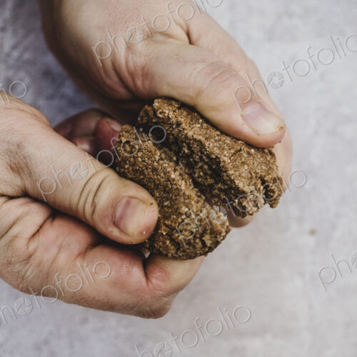 High angle close up of person breaking freshly baked chocolate cookie in half. High angle close up of person breaking freshly baked chocolate cookie in half.