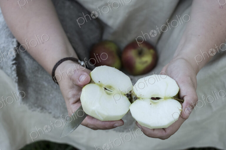 High angle close up of person holding apple cut in half.