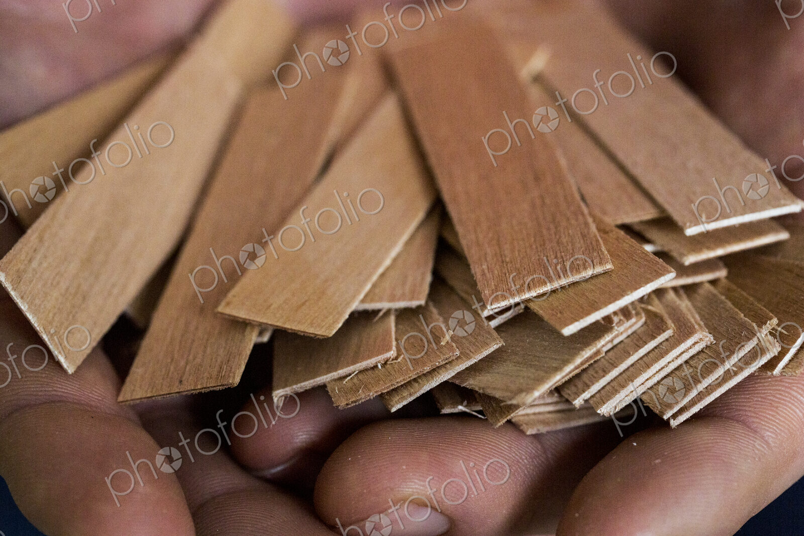 High angle close up of person holding bunch of wooden candle wicks.