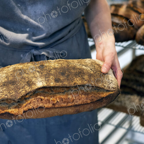 High angle close up of person holding freshly baked loaf of bread in an artisan bakery.