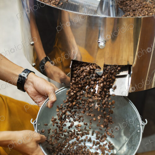 High angle close up of person holding metal bucket with freshly roasted coffee beans. High angle close up of person holding metal bucket with freshly roasted coffee beans.