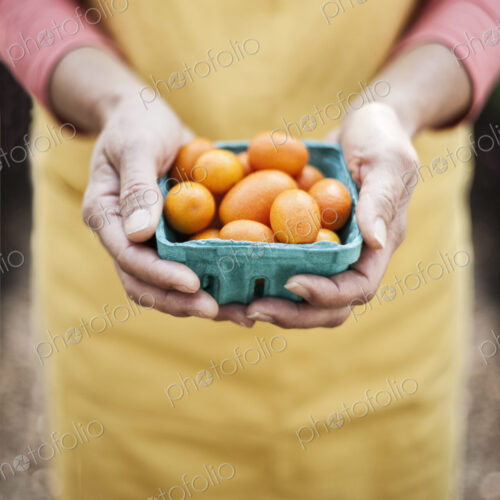 High angle close up of person holding punnet of fresh orange tomatoes at a fruit and… High angle close up of person holding punnet of fresh orange tomatoes at a fruit and…