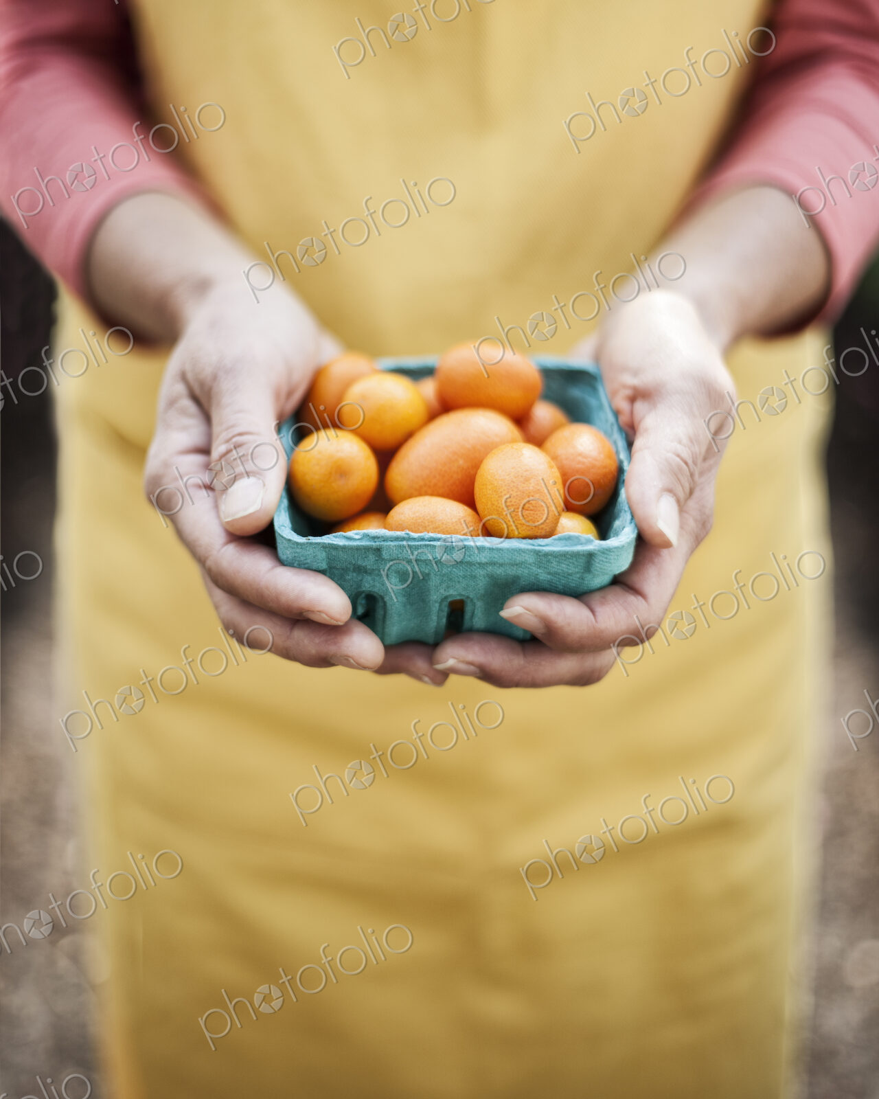 High angle close up of person holding punnet of fresh orange tomatoes at a fruit and…