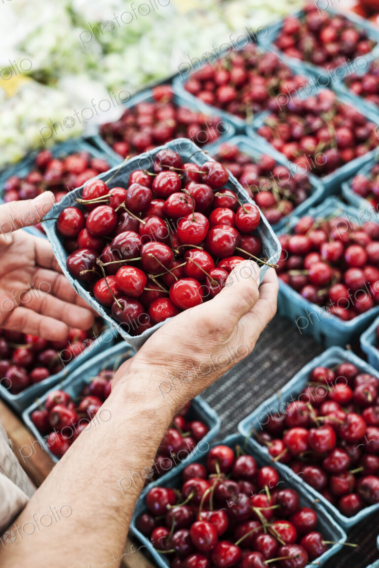 High angle close up of person holding punnet with fresh red cherries at a fruit and…