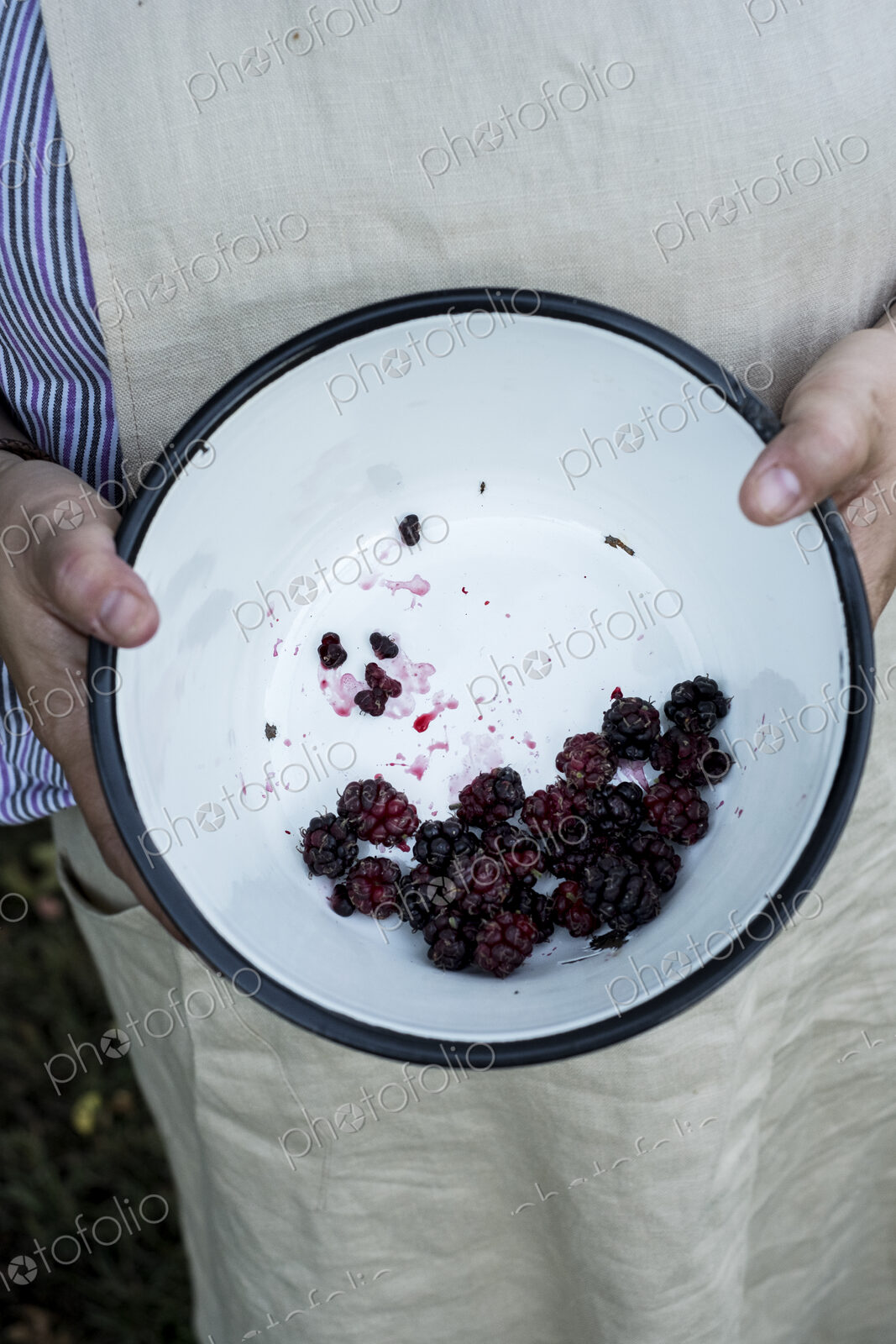 High angle close up of person holding round baking tin with blackberries.