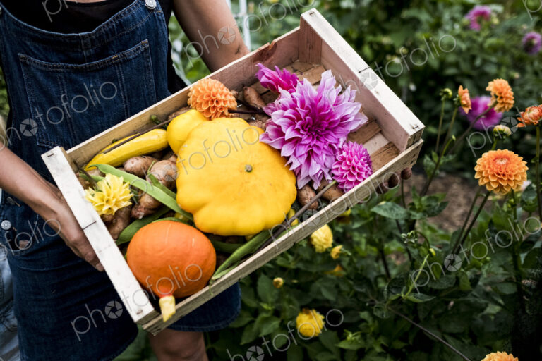 High angle close up of person holding wooden box with fresh vegetables and cut pink…
