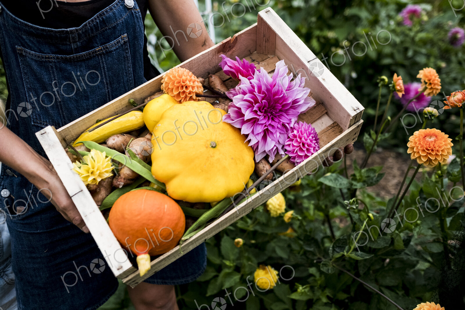 High angle close up of person holding wooden box with fresh vegetables and cut pink…