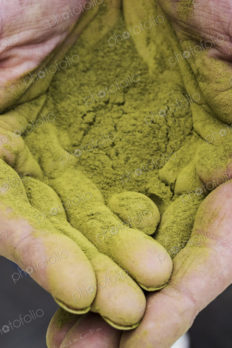 High angle close up of person's palms covered in bright green powdery substance,…