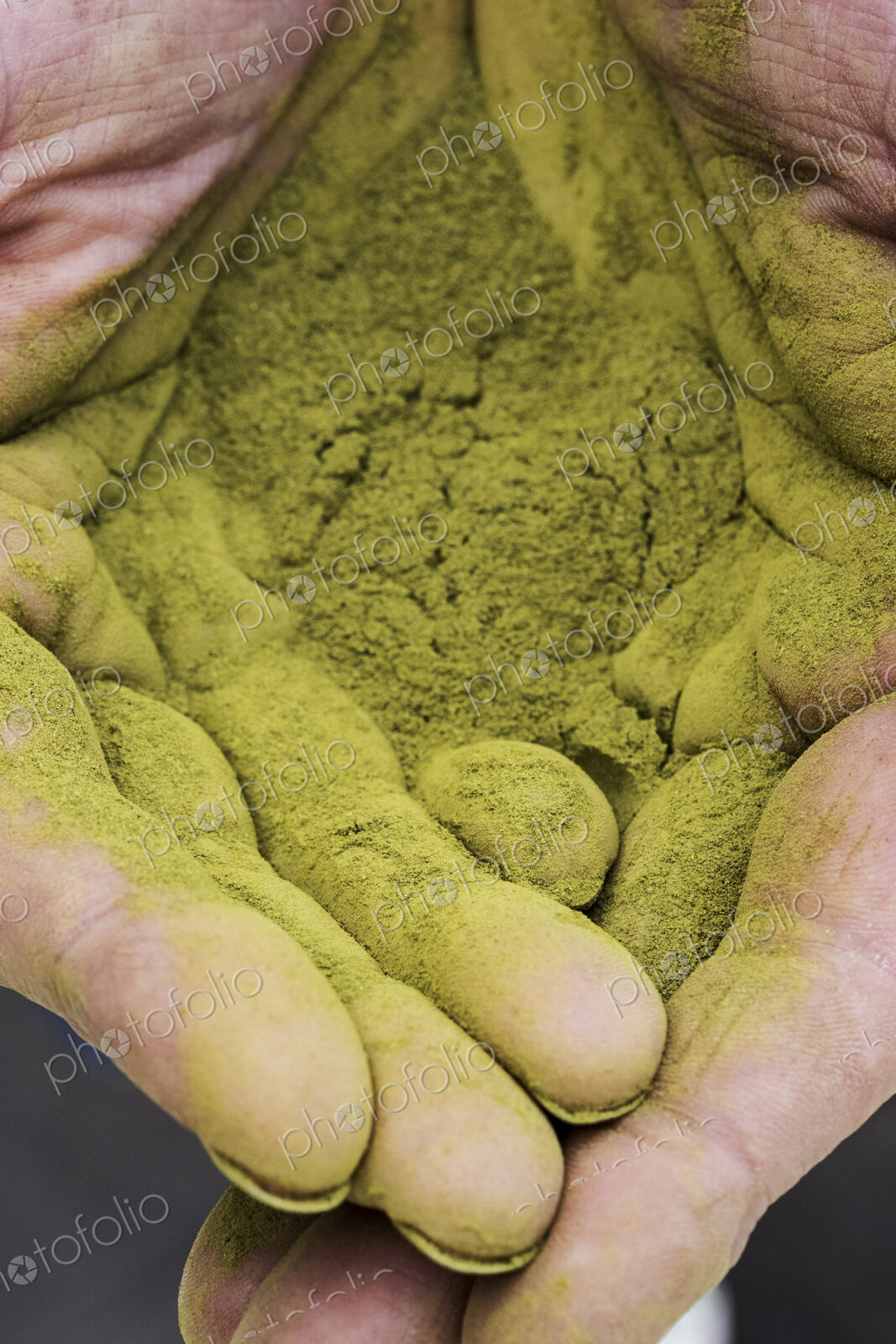 High angle close up of person’s palms covered in bright green powdery substance,…