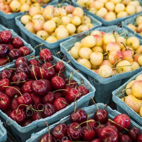 High angle close up of punnets with fresh red and yellow cherries at a fruit and… High angle close up of punnets with fresh red and yellow cherries at a fruit and…