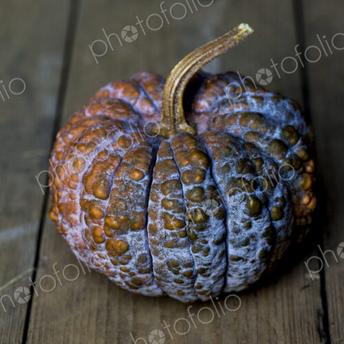 High angle close up of purple and orange pumpkin on rustic wooden table.