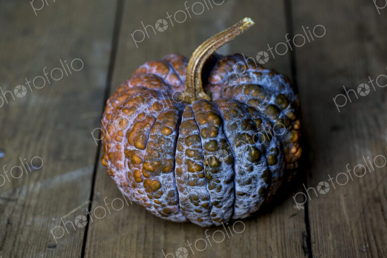 High angle close up of purple and orange pumpkin on rustic wooden table.