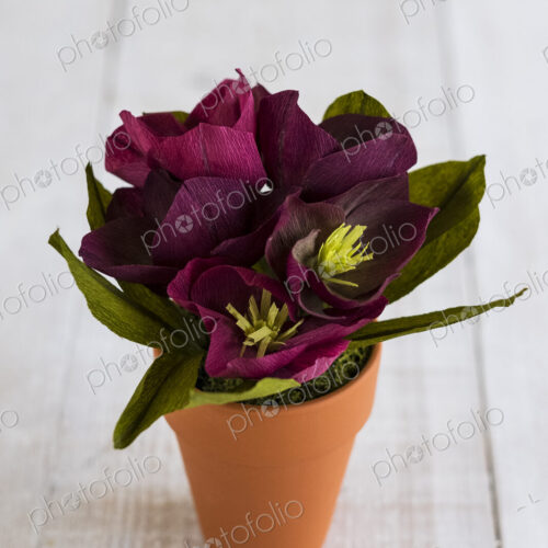 High angle close up of purple paper flowers in a terracotta flowerpot. High angle close up of purple paper flowers in a terracotta flowerpot.