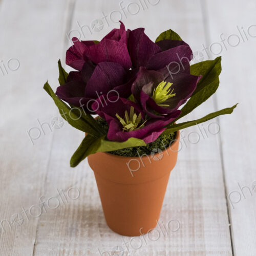 High angle close up of purple paper flowers in a terracotta flowerpot. High angle close up of purple paper flowers in a terracotta flowerpot.