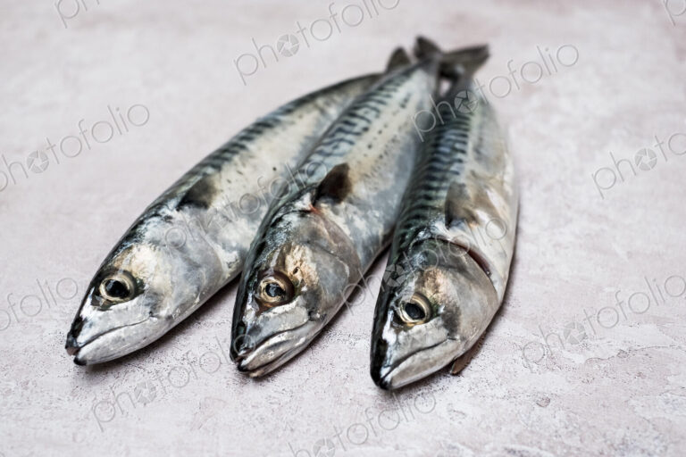 High angle close up of three fresh mackerel fish.