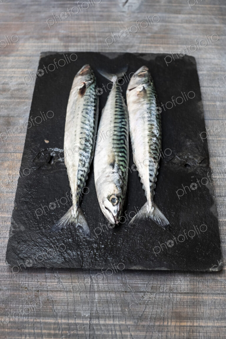 High angle close up of three fresh mackerel fish on black slate.