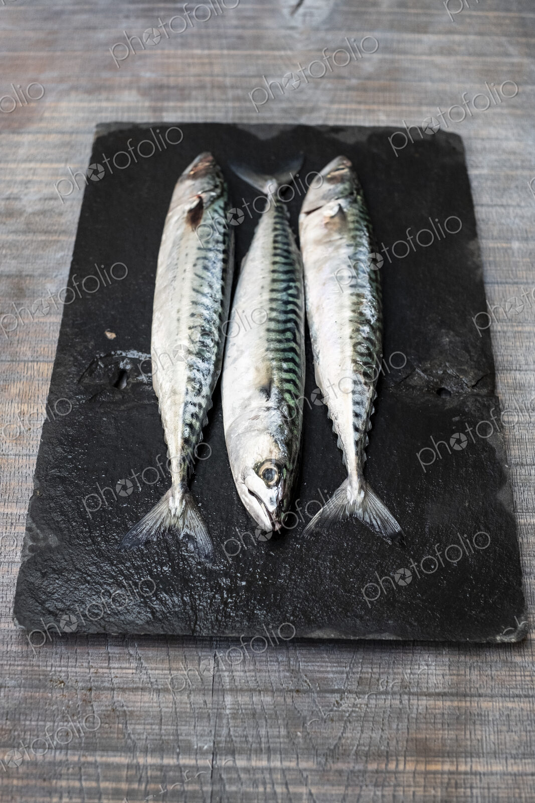 High angle close up of three fresh mackerel fish on black slate.