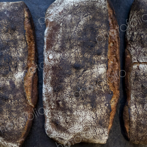 High angle close up of three freshly baked loaves of bread in an artisan bakery.
