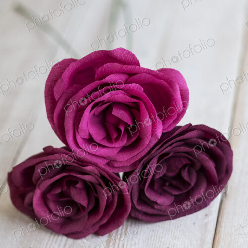 High angle close up of three pink and purple paper roses. High angle close up of three pink and purple paper roses.