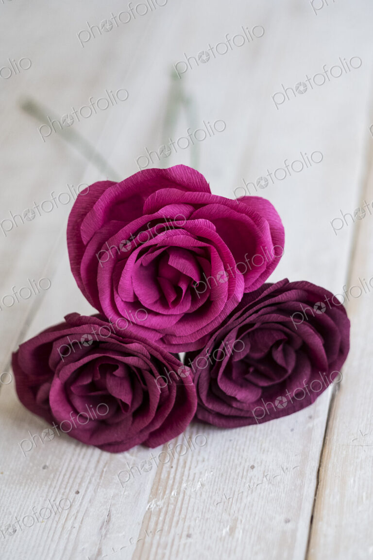High angle close up of three pink and purple paper roses.