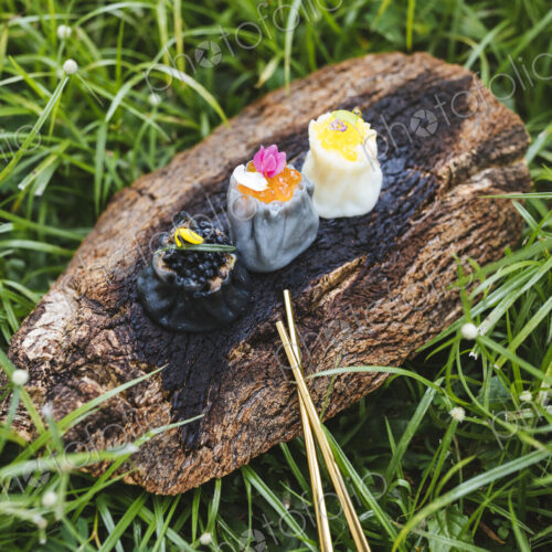 High angle close up of three siew mai dumplings on piece of tree bark on grass. High angle close up of three siew mai dumplings on piece of tree bark on grass.