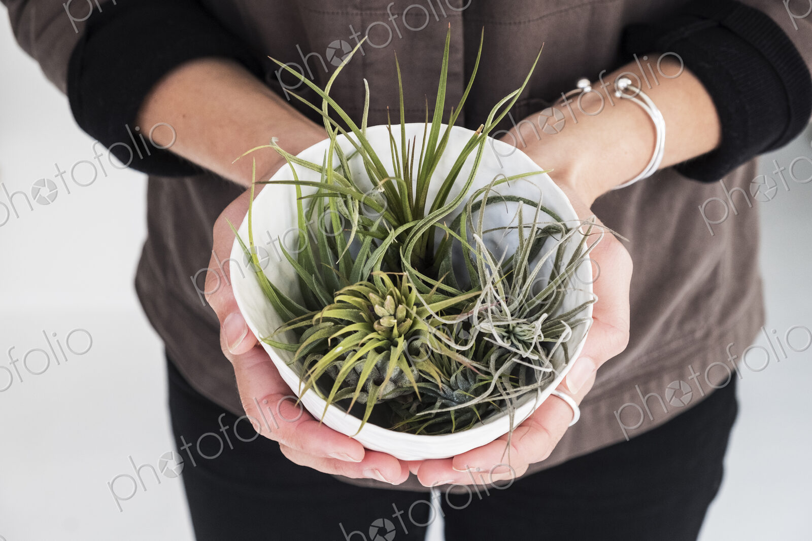 High angle close up of woman holding plant pot with a selection of air plants.