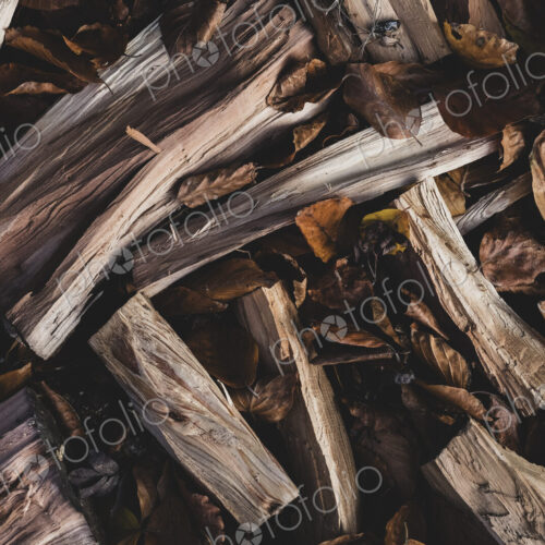 High angle close up of wood logs and dried autumn leaves. High angle close up of wood logs and dried autumn leaves.