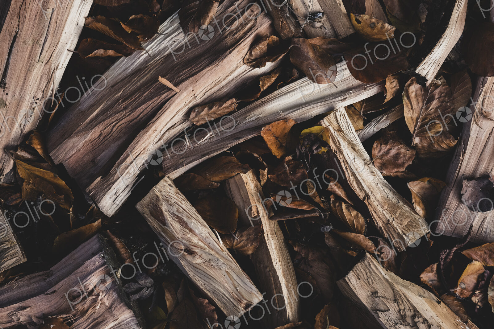 High angle close up of wood logs and dried autumn leaves.