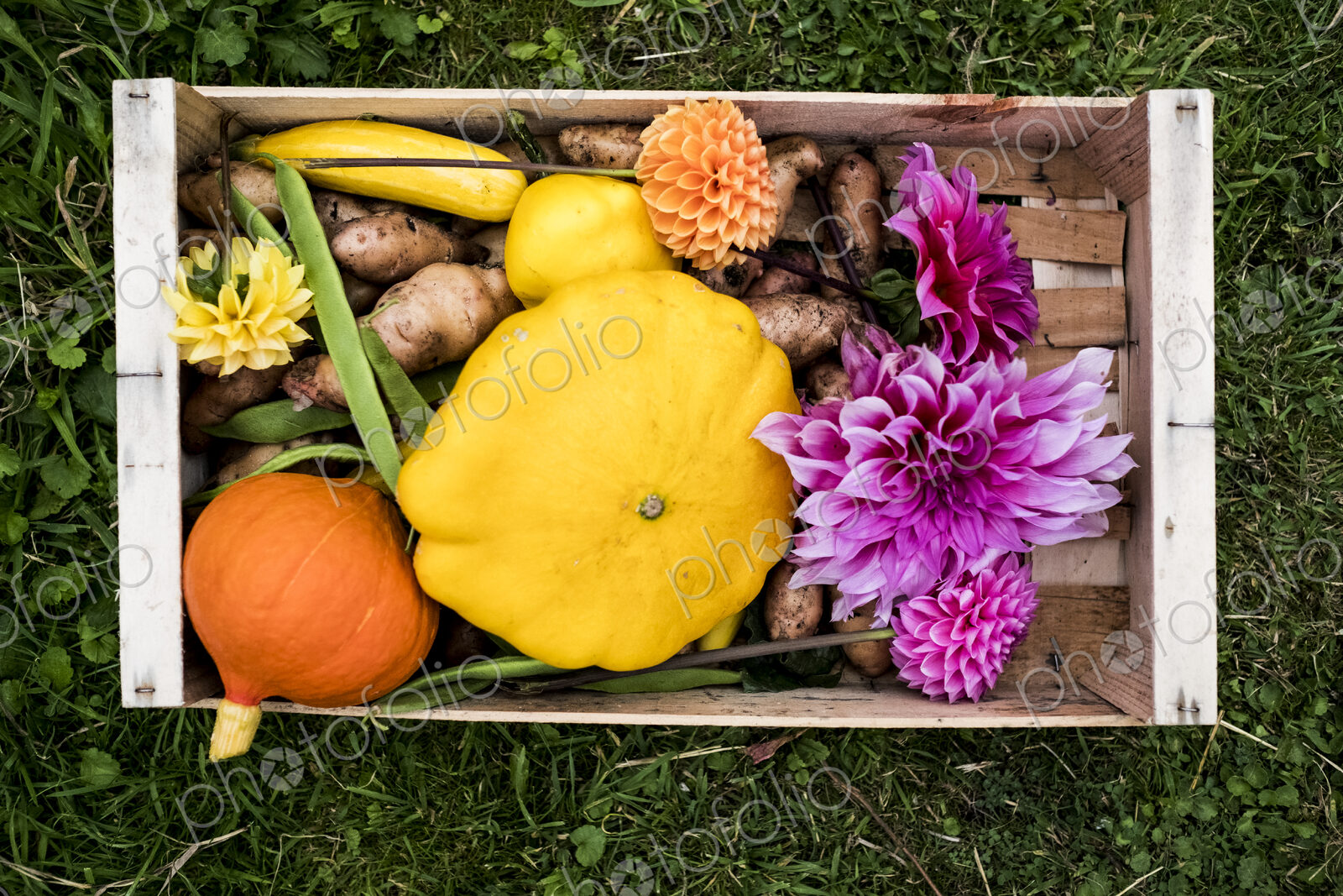 High angle close up of wooden box with fresh vegetables and cut pink Dahlias.