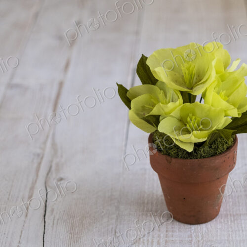High angle close up of yellow paper flowers in a terracotta flowerpot. High angle close up of yellow paper flowers in a terracotta flowerpot.