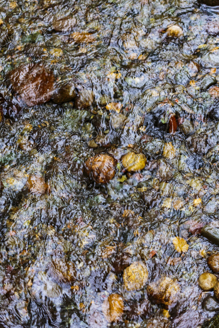 High angle view of Pipers Creek, a revived salmon stream, Carkeek Park