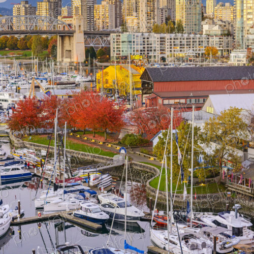 High angle view of boats docked in Vancouver harbor, British Columbia, Canada