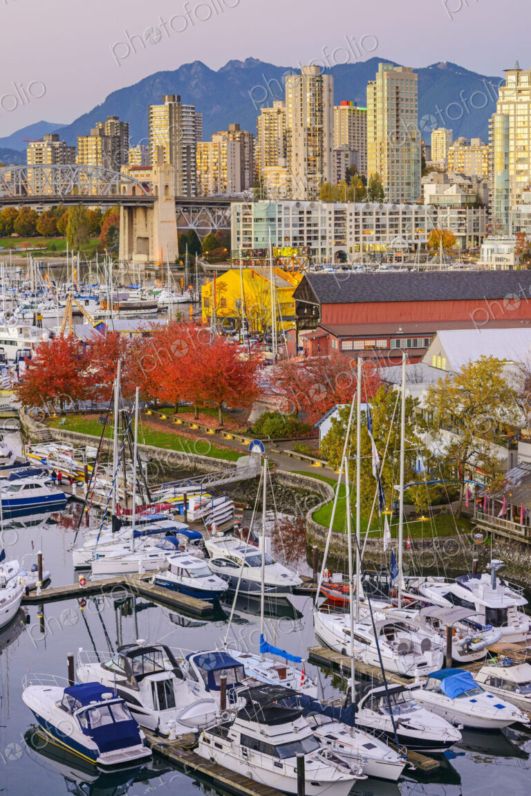 High angle view of boats docked in Vancouver harbor, British Columbia, Canada