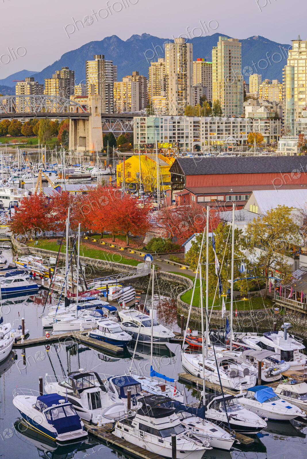 High angle view of boats docked in Vancouver harbor, British Columbia, Canada