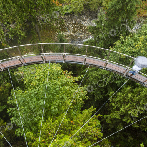High angle view of curved suspension footbridge over forest tree canopy. High angle view of curved suspension footbridge over forest tree canopy.