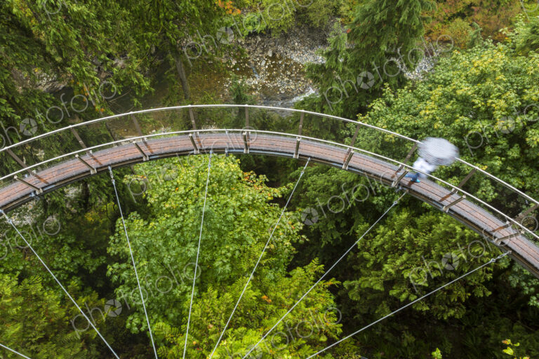 High angle view of curved suspension footbridge over forest tree canopy.