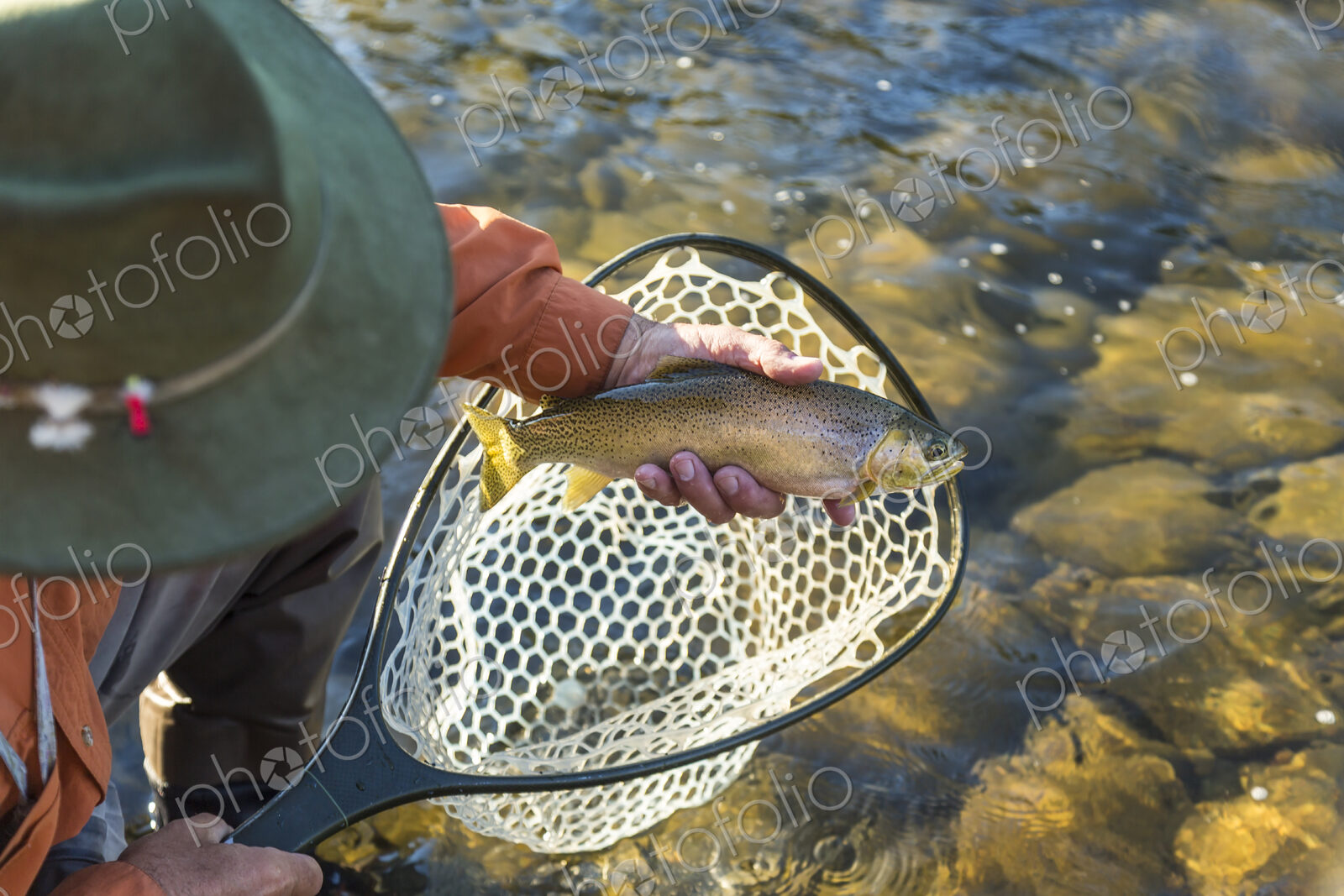 High angle view of fisherman taking freshly caught trout out of fishing net.