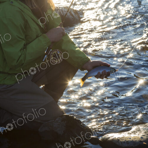 High angle view of fisherwoman kneeling on rock on riverbed, holding fishing rod and… High angle view of fisherwoman kneeling on rock on riverbed, holding fishing rod and…