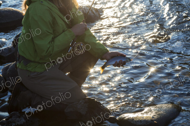 High angle view of fisherwoman kneeling on rock on riverbed, holding fishing rod and…