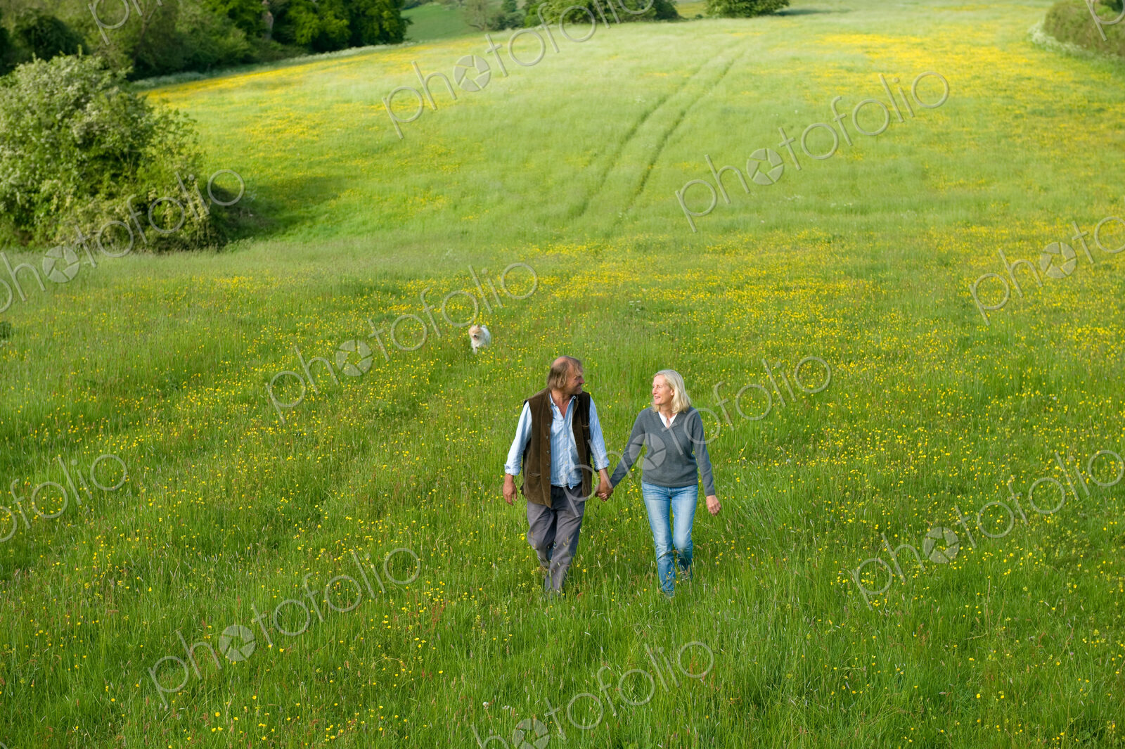 High angle view of man and woman walking hand in hand across a meadow.