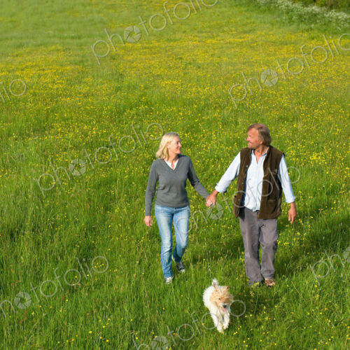 High angle view of man and woman walking hand in hand across a meadow, small dog…