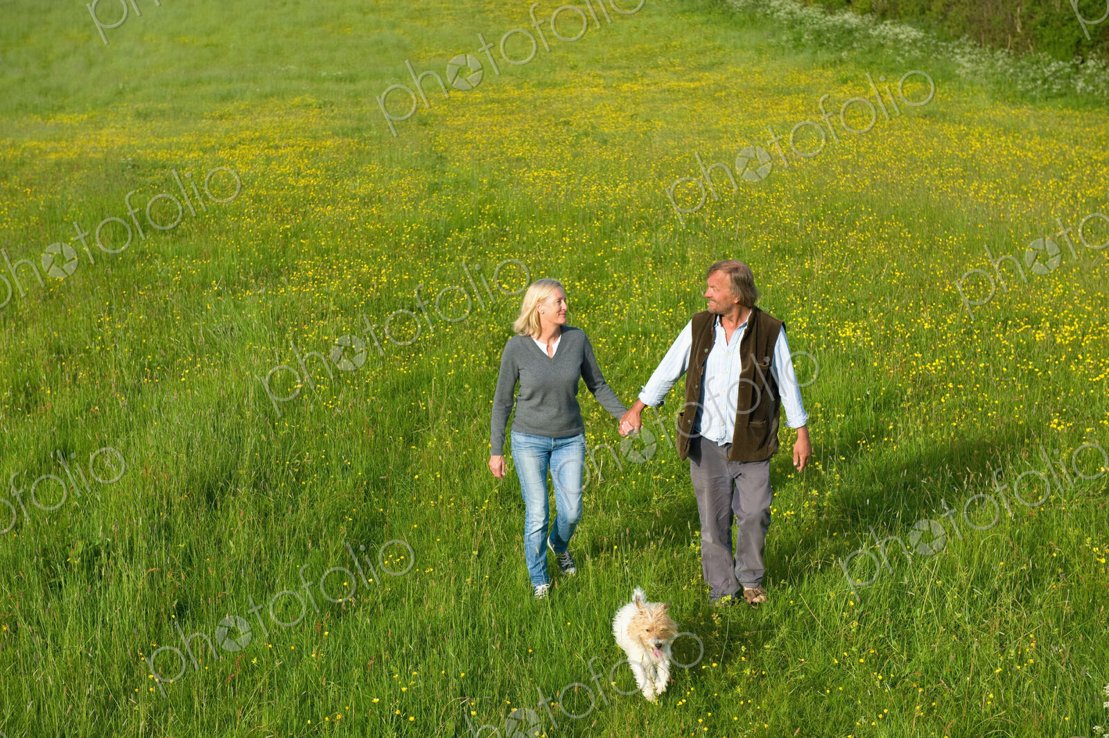 High angle view of man and woman walking hand in hand across a meadow, small dog…