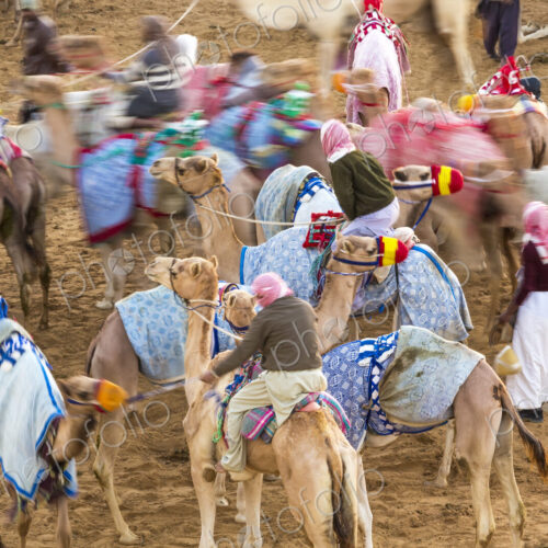High angle view of people riding on camels with colourful saddles along a dusty road. High angle view of people riding on camels with colourful saddles along a dusty road.