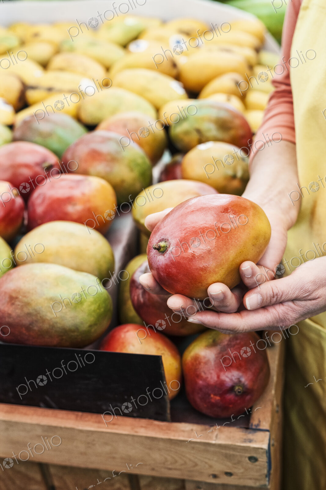 High angle view of person holding fresh mango at a fruit and vegetable market.