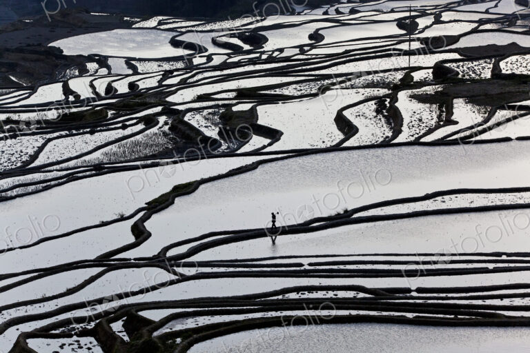 High angle view of reflections off water filled rice terraces.