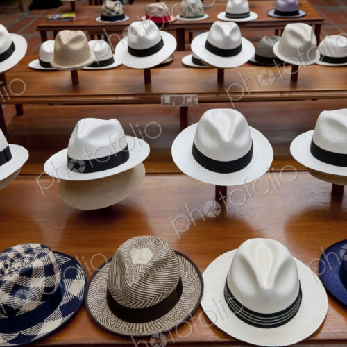 High angle view of rows of Panama hats on display in a shop. High angle view of rows of Panama hats on display in a shop.