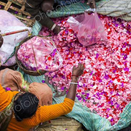 High angle view of vendor selling pink flower petals at a street market. High angle view of vendor selling pink flower petals at a street market.