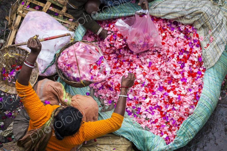 High angle view of vendor selling pink flower petals at a street market.
