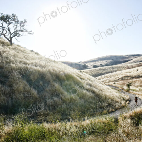 High angle view of young woman with curly brown hair hiking in urban park. High angle view of young woman with curly brown hair hiking in urban park.