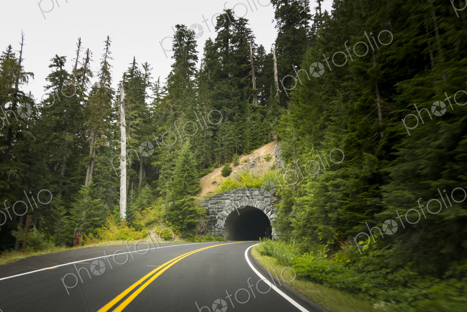 Highway 120 leading into a stone highway tunnel, Mount Rainier National Park,